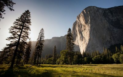 How Nature Can Benefit Addiction Recovery