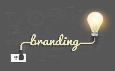 Do it Yourself Brand Building in 10 Days!